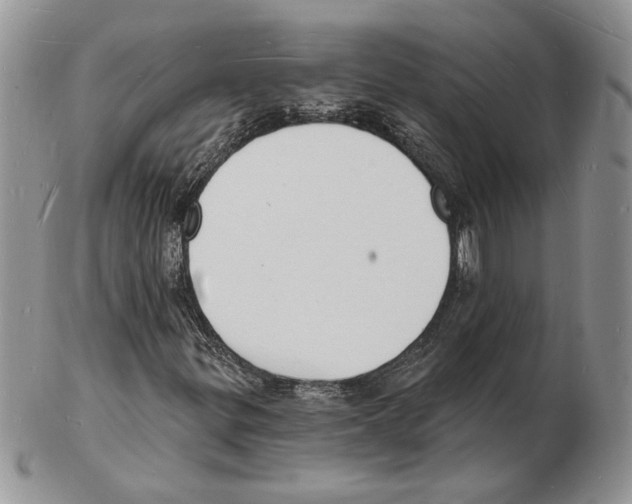 X0000102231299200808221259