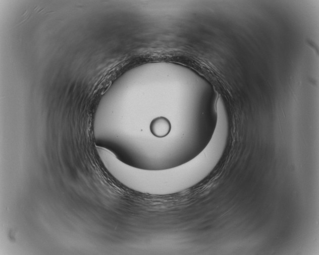 X0000102231300200808221259