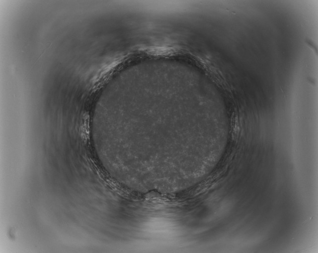 X0000102231301200808221259