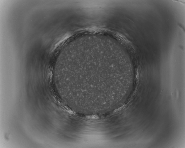 X0000102231302200808221259