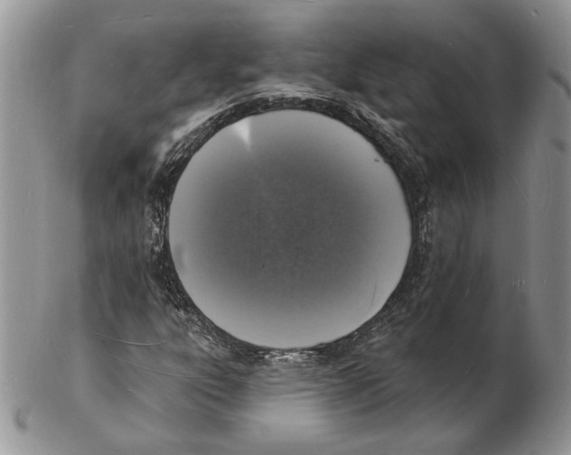 X0000102231303200808221259