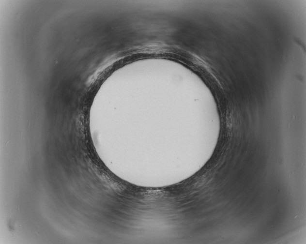 X0000102231304200808221259