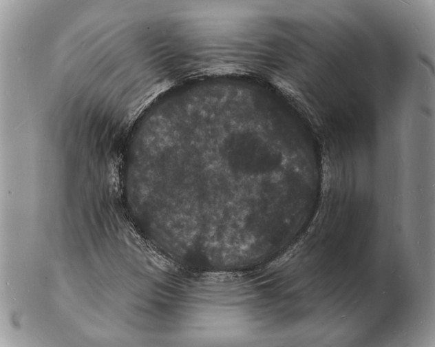 X0000102231305200808221259