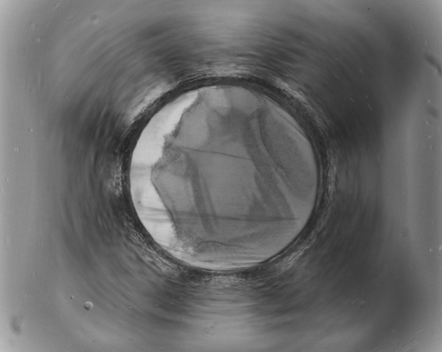 X0000102231306200808221259