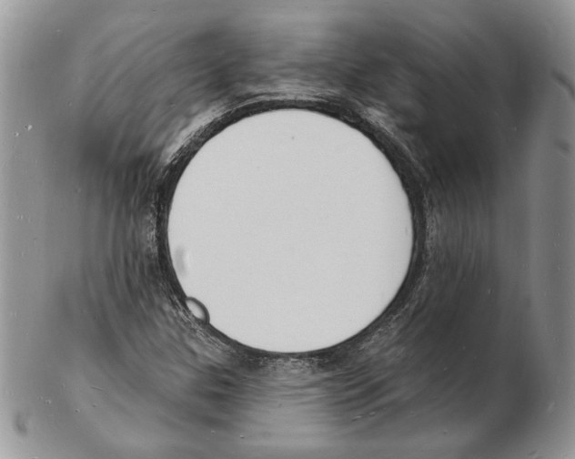 X0000102231307200808221259