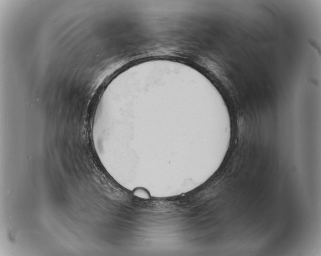 X0000102231308200808221259