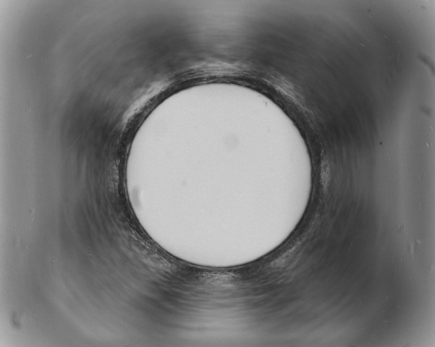 X0000102231309200808221259