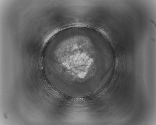 X0000102231310200808221259