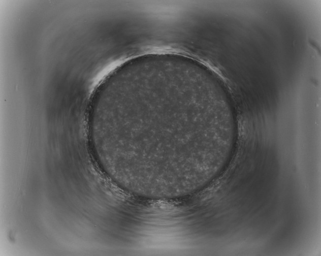X0000102231311200808221259