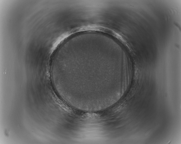 X0000102231312200808221259