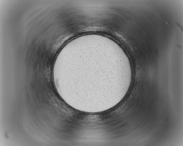 X0000102231313200808221259