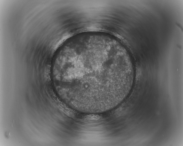 X0000102231314200808221259