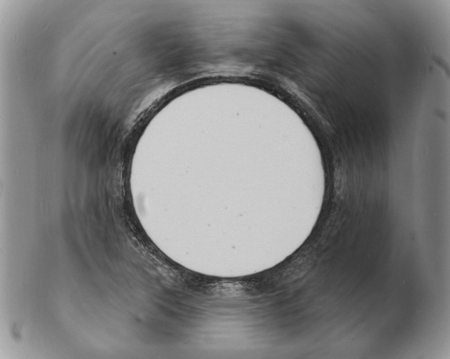 X0000102231315200808221259