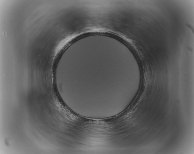 X0000102231319200808221259