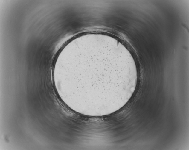 X0000102231320200808221259