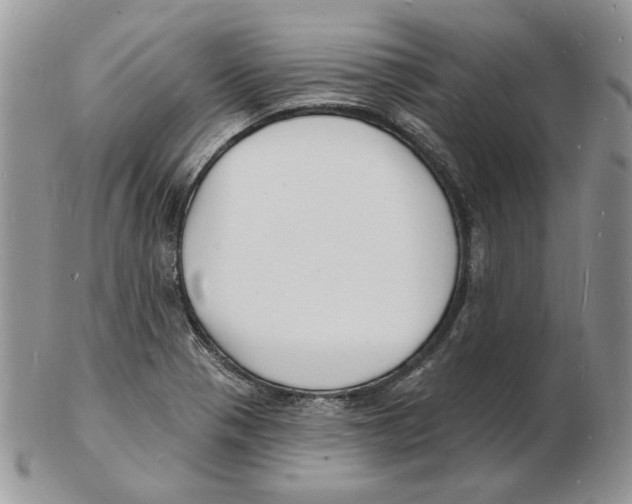 X0000102231321200808221259