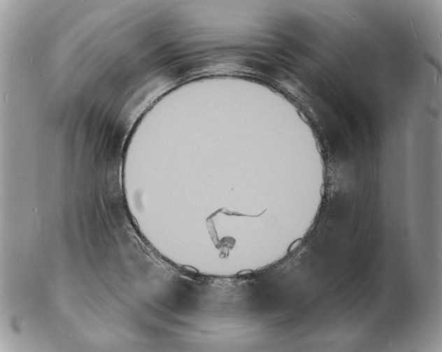 X0000102231322200808221259