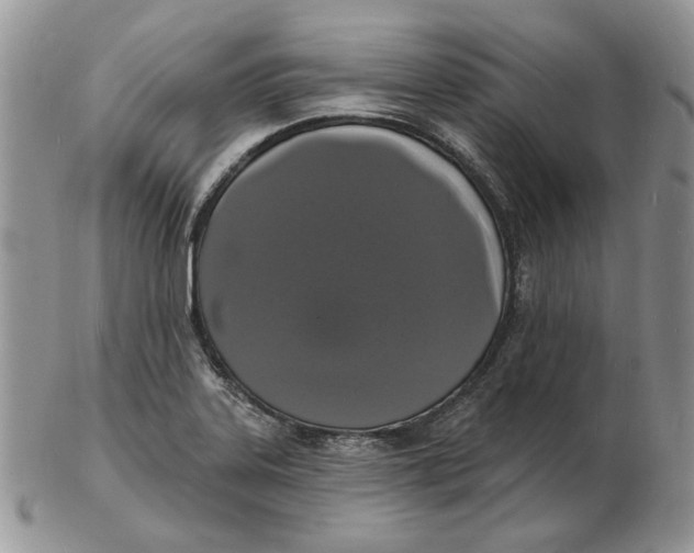 X0000102231323200808221259