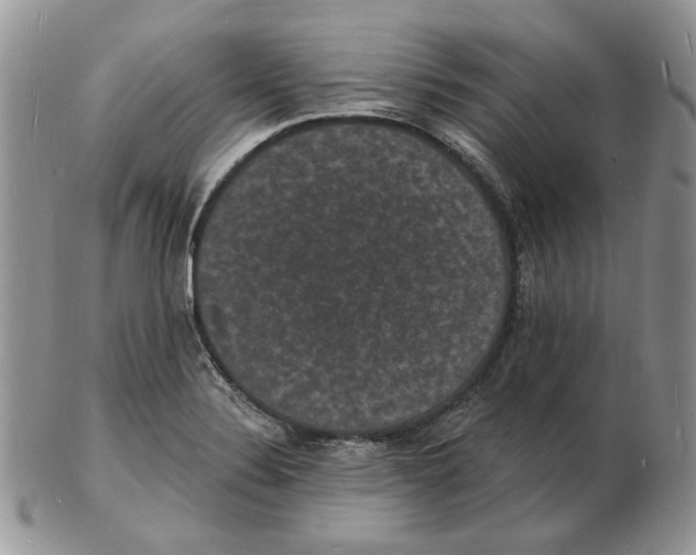 X0000102231324200808221259