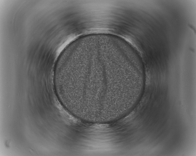 X0000102231325200808221259