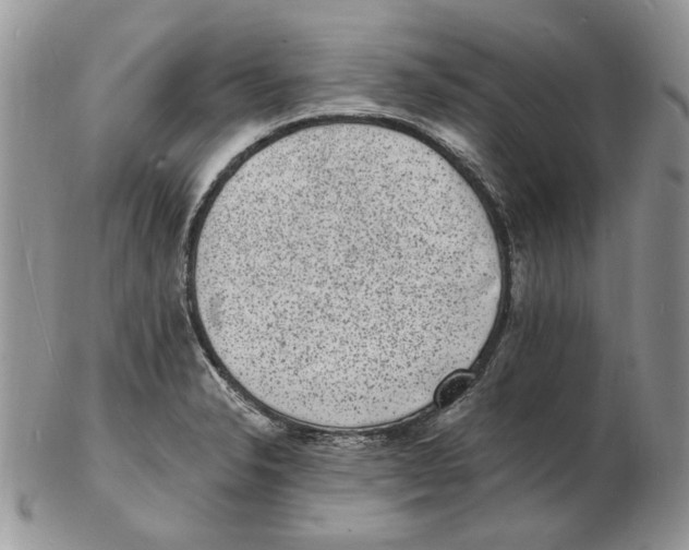 X0000102231326200808221259