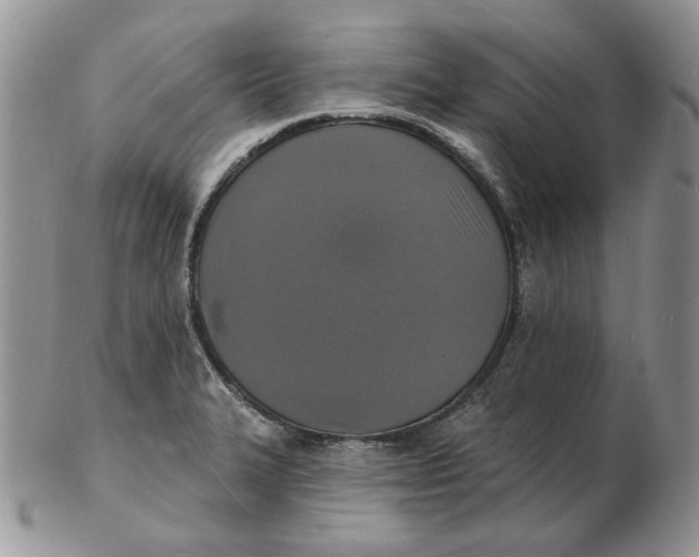 X0000102231327200808221259
