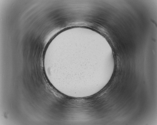 X0000102231328200808221259