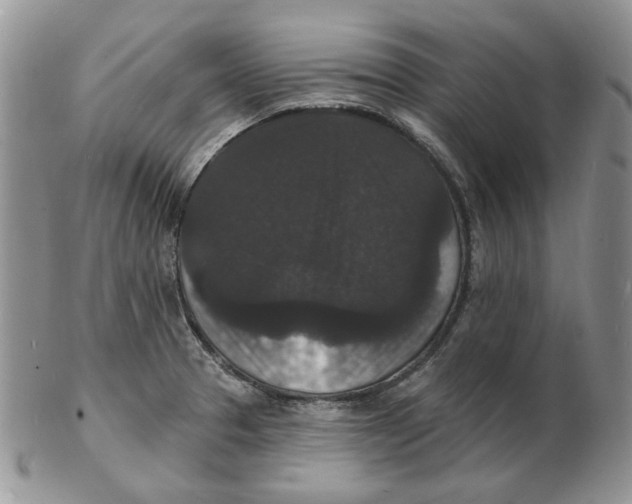 X0000102231329200808221259
