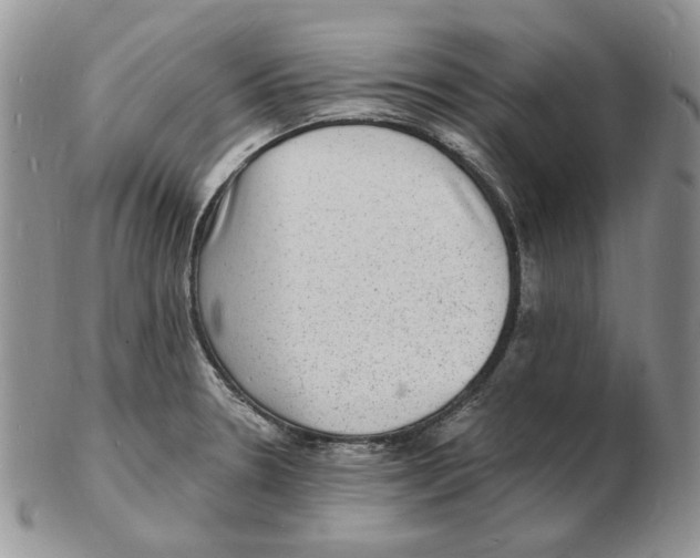 X0000102231330200808221259