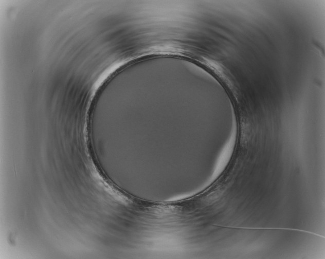 X0000102231331200808221259