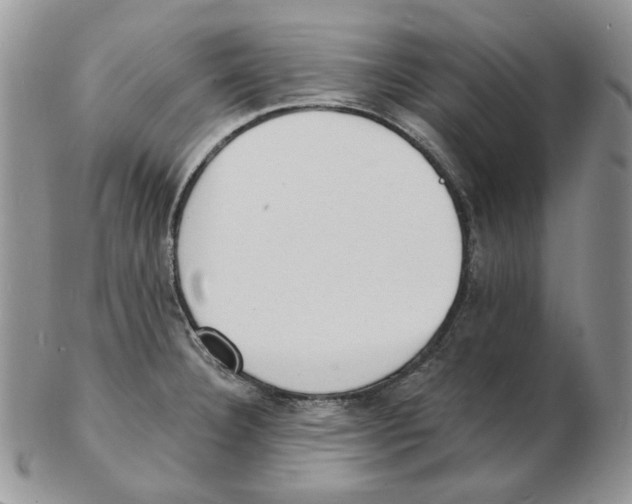 X0000102231332200808221259
