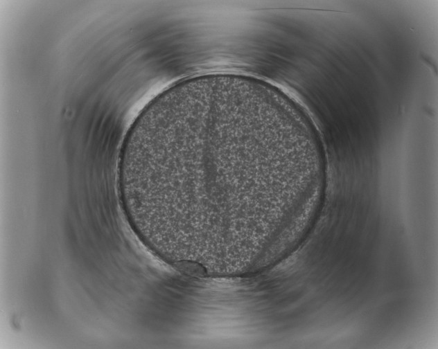 X0000102231333200808221259