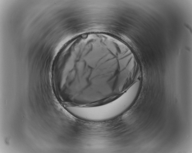 X0000102231334200808221259