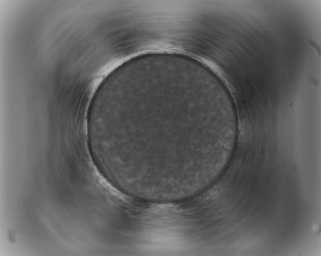 X0000102231335200808221259