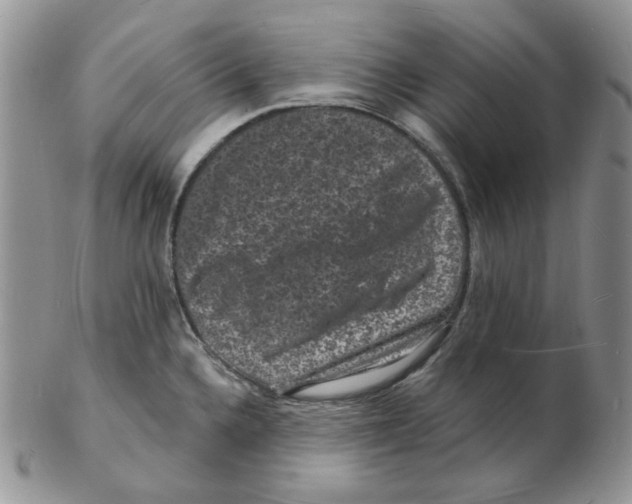 X0000102231336200808221259