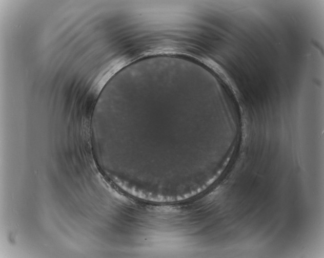 X0000102231337200808221259