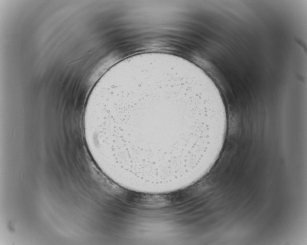 X0000102231338200808221259