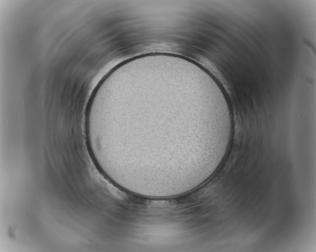 X0000102231339200808221259