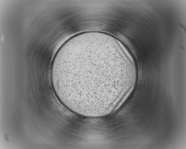 X0000102231340200808221259