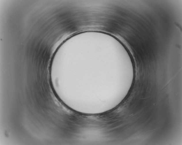 X0000102231341200808221259