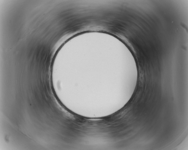 X0000102231343200808221259