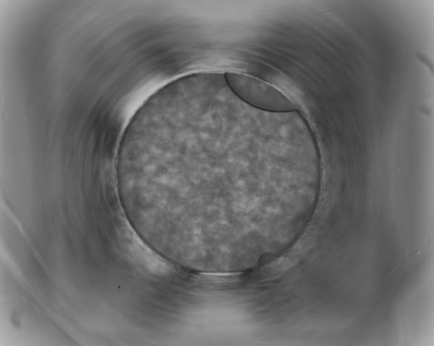 X0000102231344200808221259
