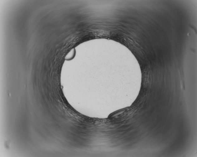 X0000102231345200808221259