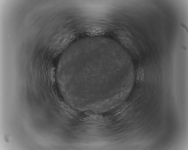 X0000102231346200808221259
