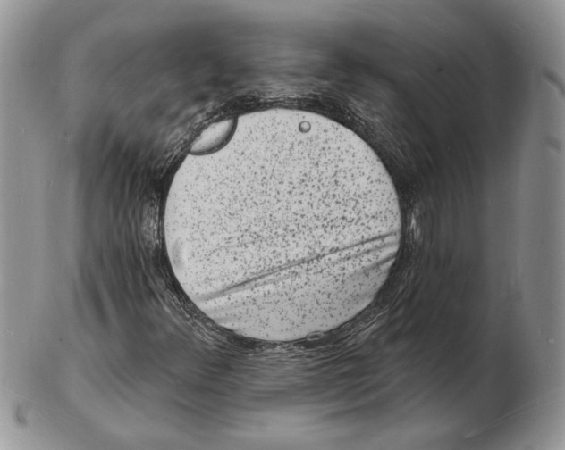 X0000102231348200808221259