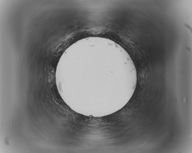 X0000102231349200808221259