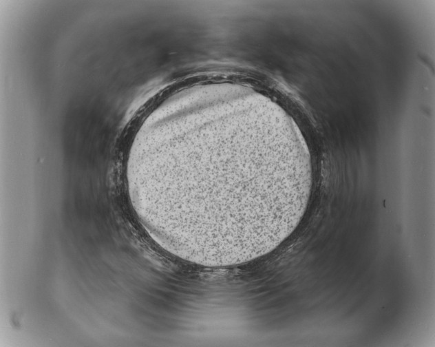 X0000102231352200808221258