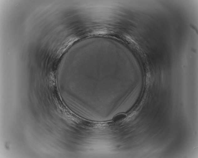 X0000102231353200808221258