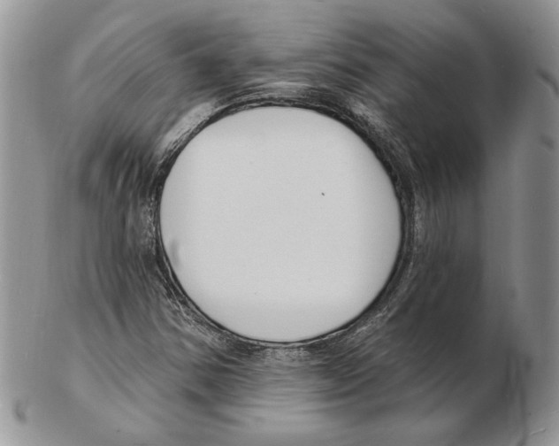 X0000102231354200808221258
