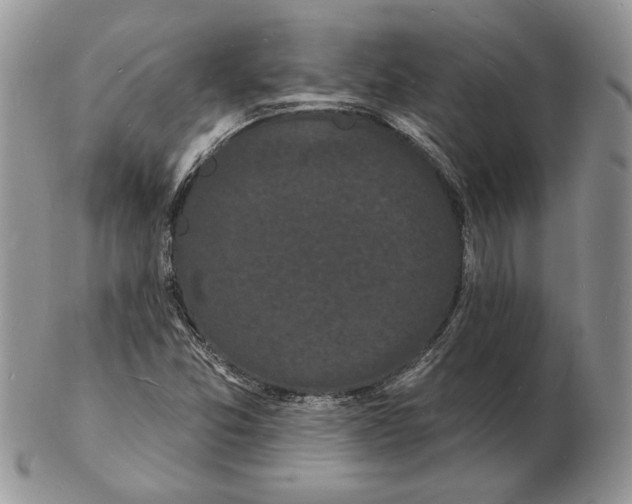 X0000102231357200808221258